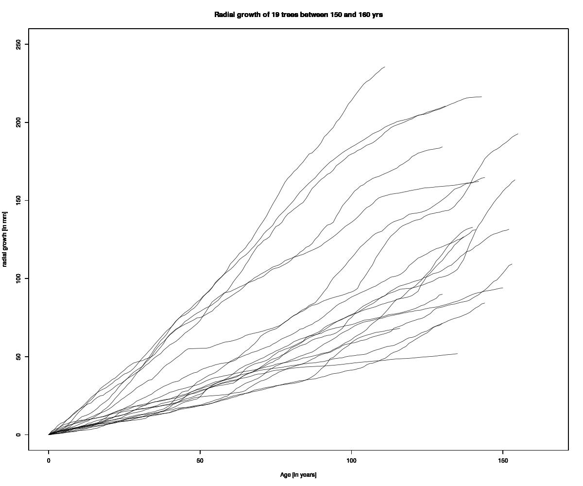 Multiplot_radial_growth_sugar_maple_between_150_and_160_years_old.jpg